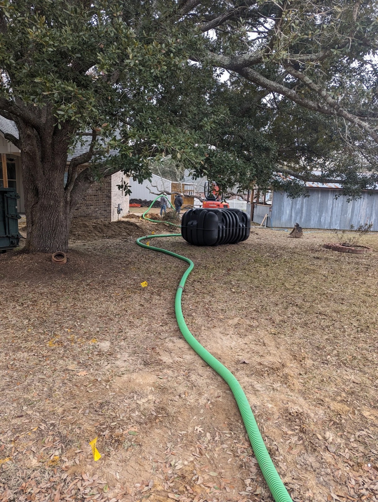 A new treatment tank staged under a live oak before installation.
